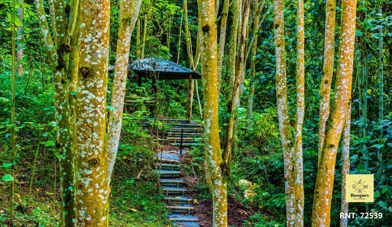 Hotel Bosques De La Pradera Manizales Exteriér fotografie