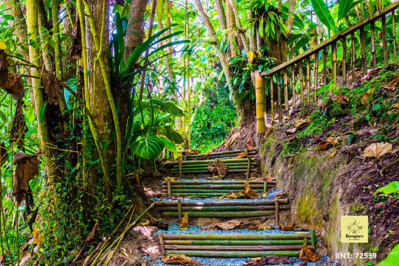 Hotel Bosques De La Pradera Manizales Exteriér fotografie